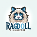 The only ragdoll cattery Singapore